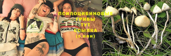 экстази Алзамай