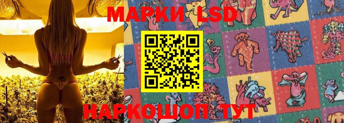 Муравленко  купить  сайты  Вход с VPN  Марки 25I-NBOMe 1500мкг  Марки 25I-NBOMe 1500мкг 