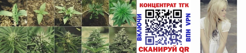 продажа наркотиков Муравленко Дистиллят ТГК жижа