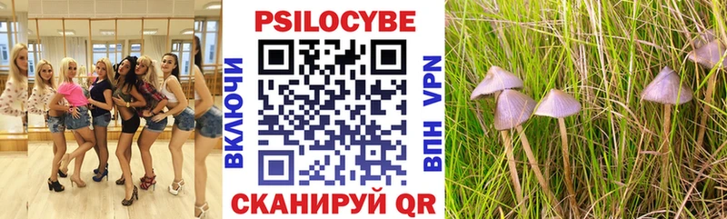 Псилоцибиновые грибы Psilocybine cubensis  где продают   Муравленко 