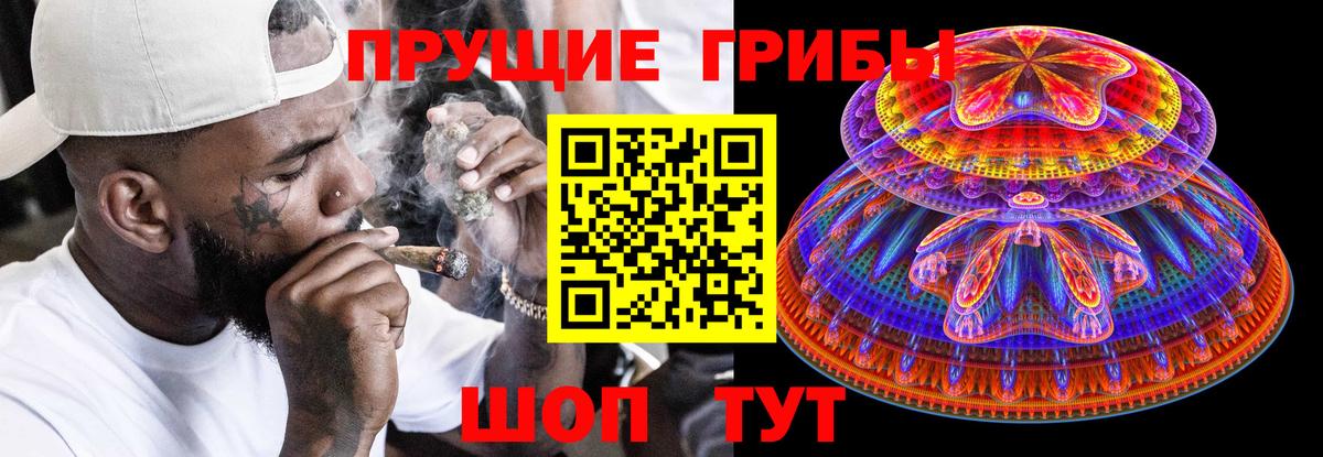 Муравленко  Псилоцибиновые грибы Cubensis  Вход с VPN 
