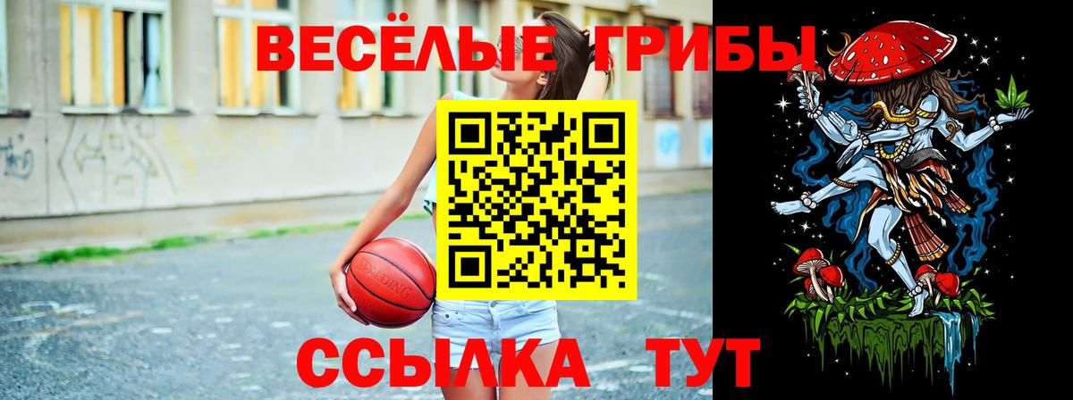 Галлюциногенные грибы прущие грибы Муравленко